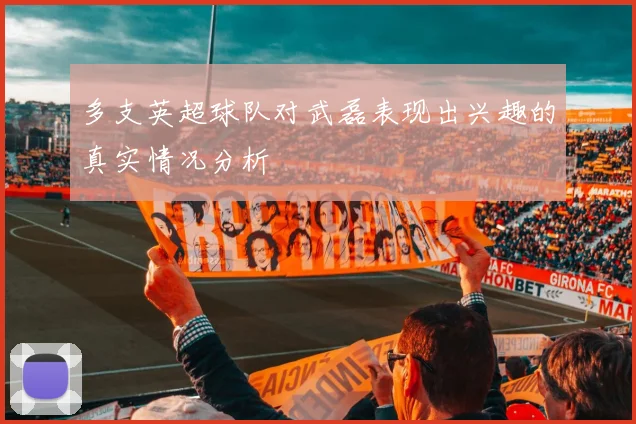 多支英超球队对武磊表现出兴趣的真实情况分析