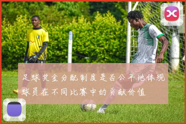 足球奖金分配制度是否公平地体现球员在不同比赛中的贡献价值