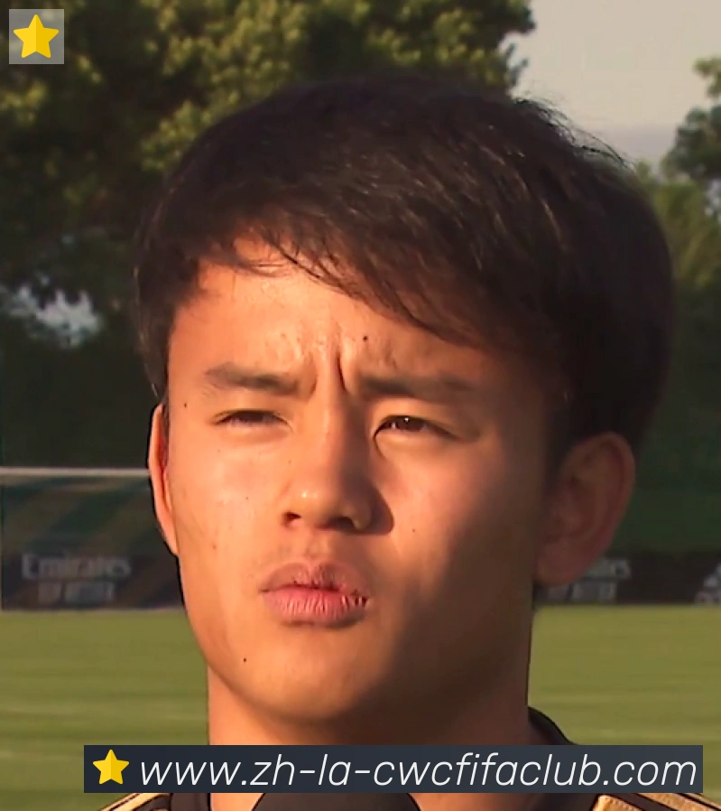 维尼修斯